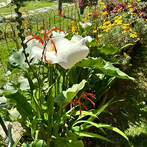 Bilocale Olivi Con Giardino E Posto Auto Privato Sanremo